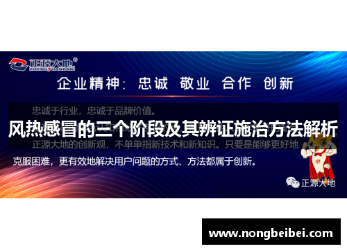 风热感冒的三个阶段及其辨证施治方法解析