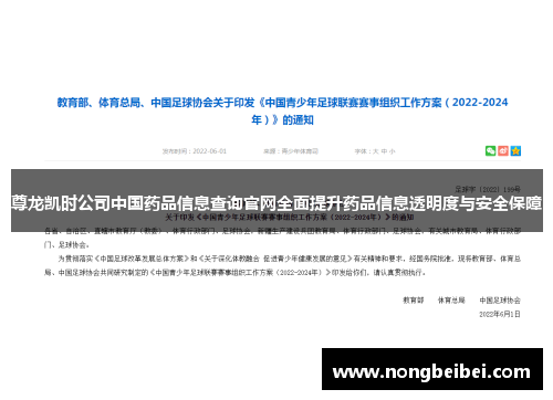 尊龙凯时公司中国药品信息查询官网全面提升药品信息透明度与安全保障