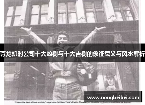 尊龙凯时公司十大凶树与十大吉树的象征意义与风水解析